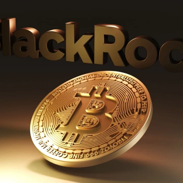 BlackRock-image.webp.webp